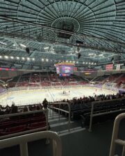 Checkers-Hockey-Game