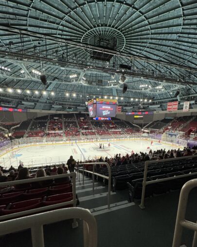 Checkers-Hockey-Game